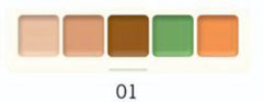 Premium Quality 5 IN ONE Base Concealer Palette Shade Concealer (Multicolour - 01)